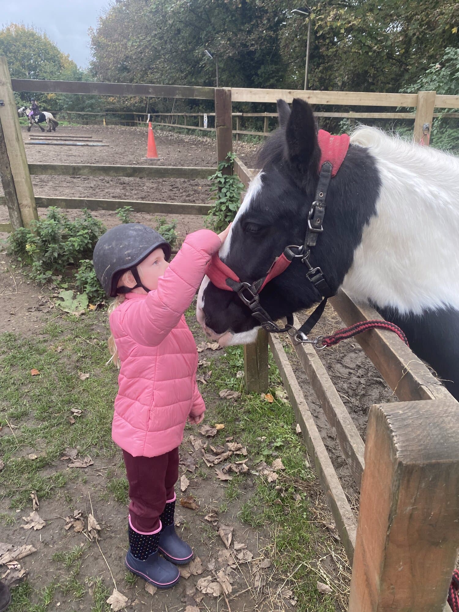Old Town Riding School, equestrian venue in Hemel Hempstead, Hertfordshire