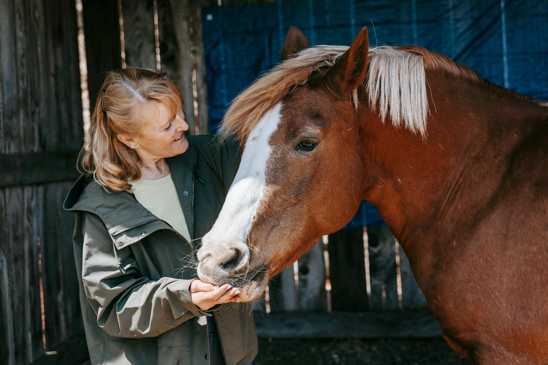 Avon Riding Centre For The Disabled, equestrian venue in Bristol, Bristol