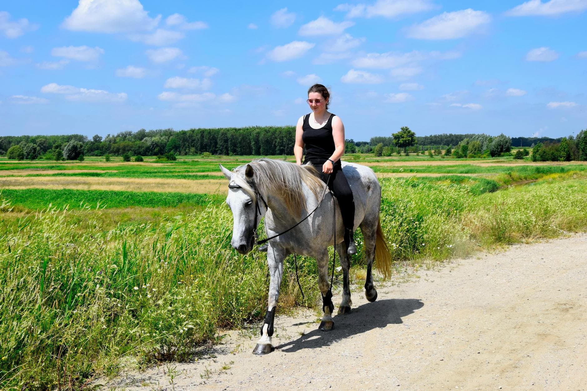 Hacking & Trails at a UK equestrian venue