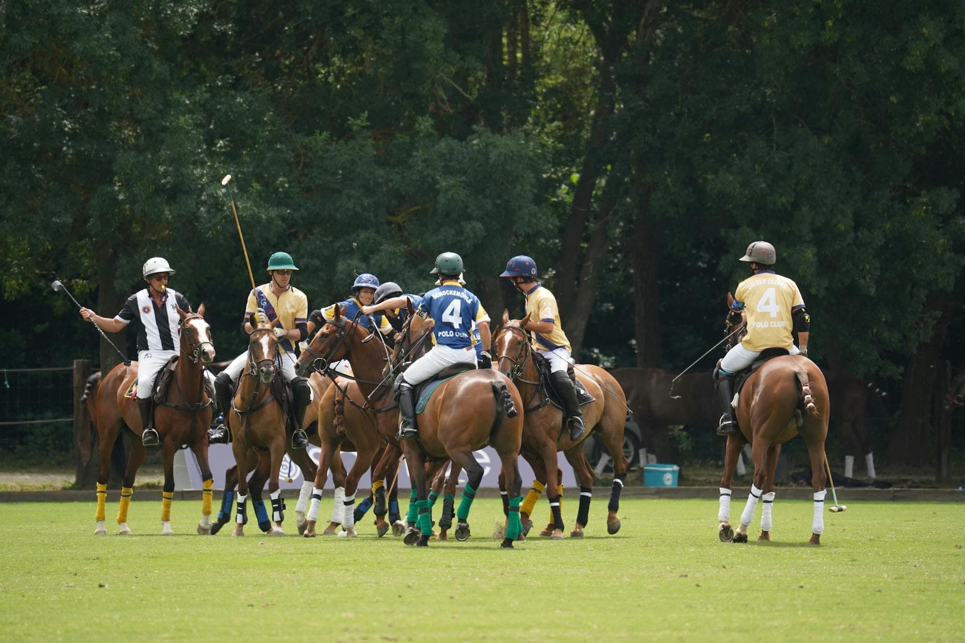 Clover Polo, equestrian venue in Bracknell, Berkshire