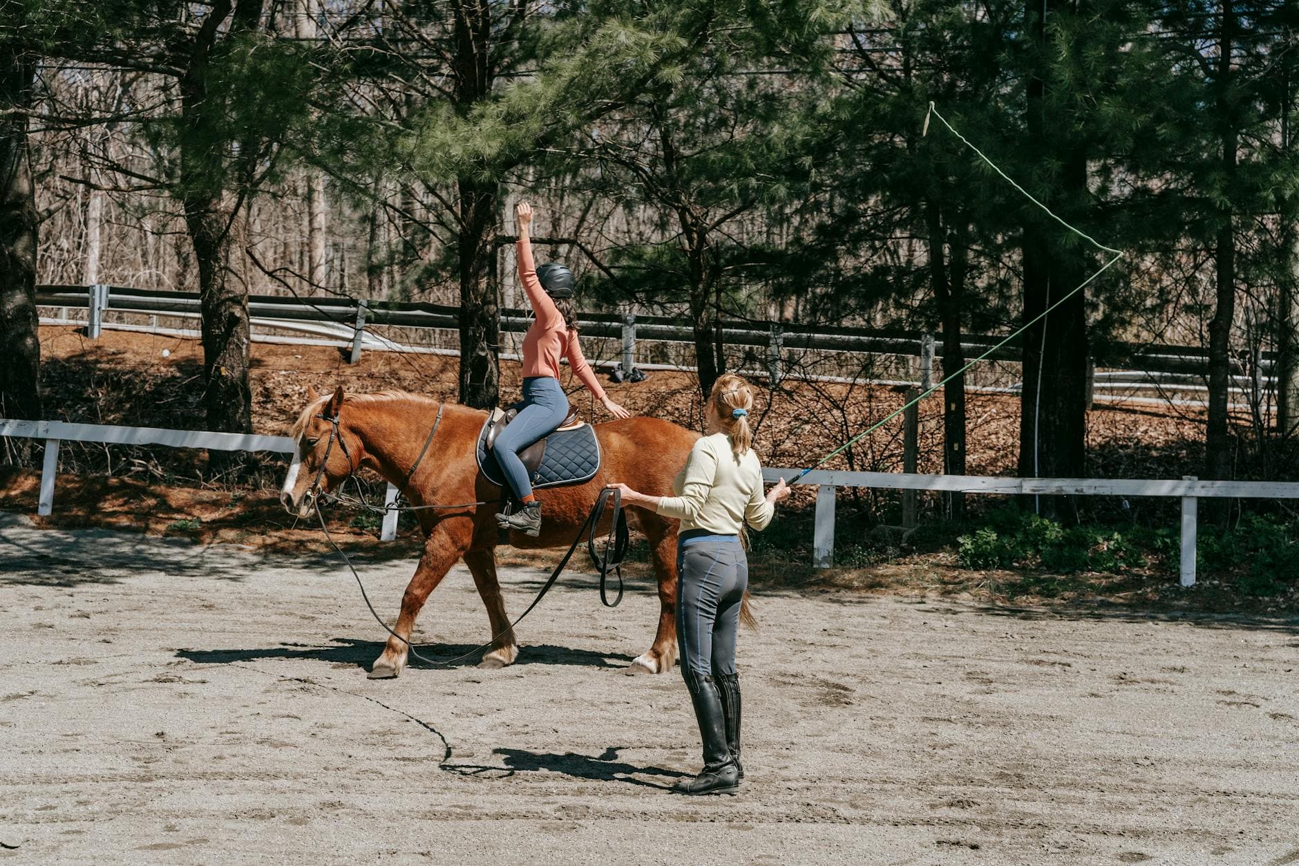 Riding Schools at a UK equestrian venue