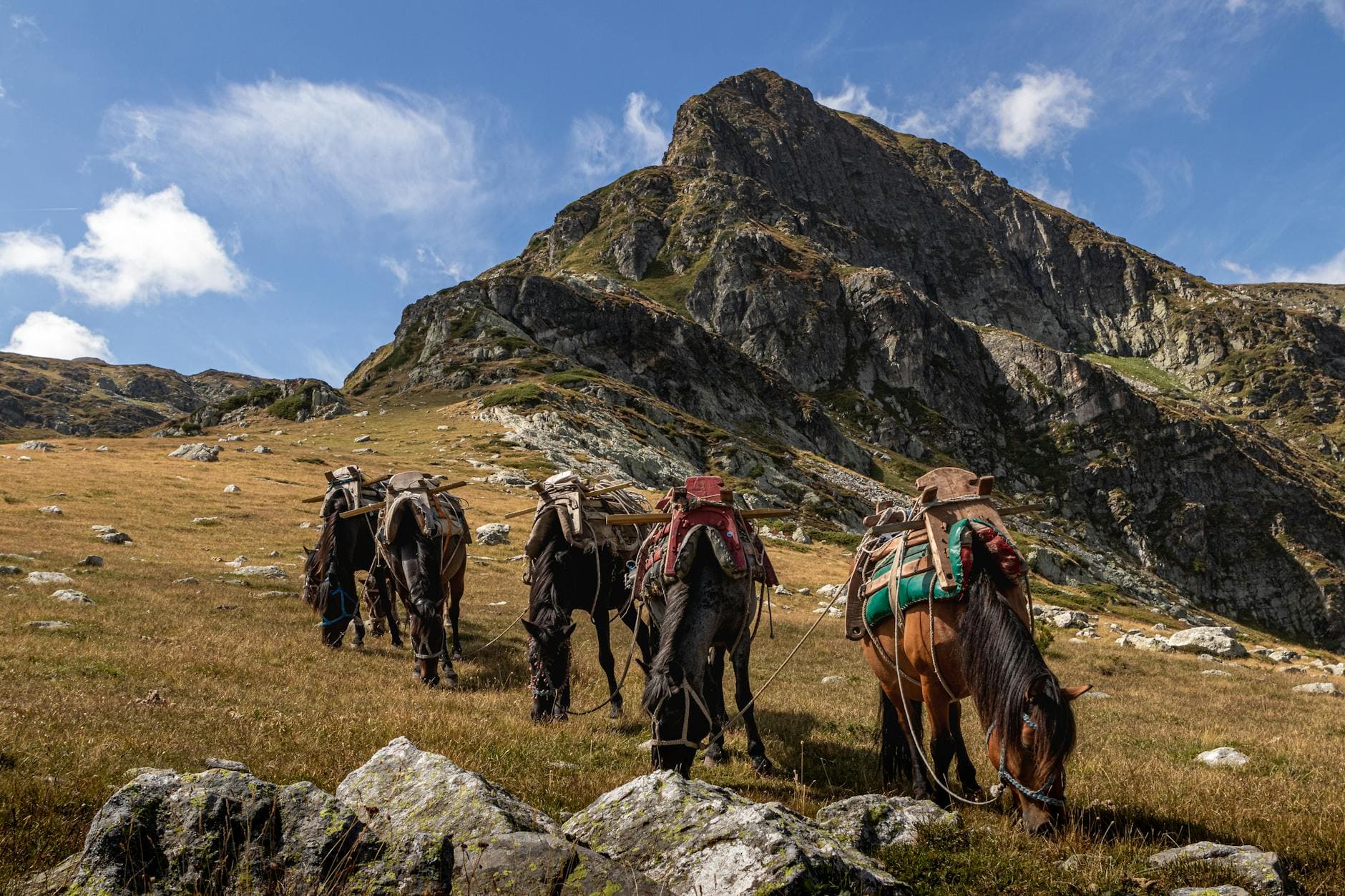 Trekking at a UK equestrian venue