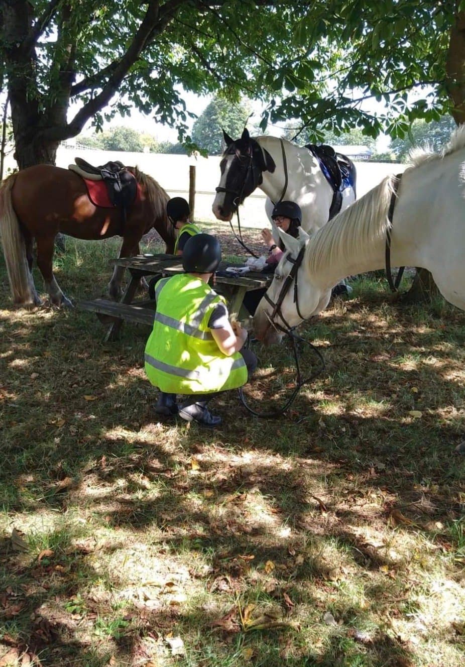 Sandridgebury Riding School, equestrian venue in St Albans, Hertfordshire