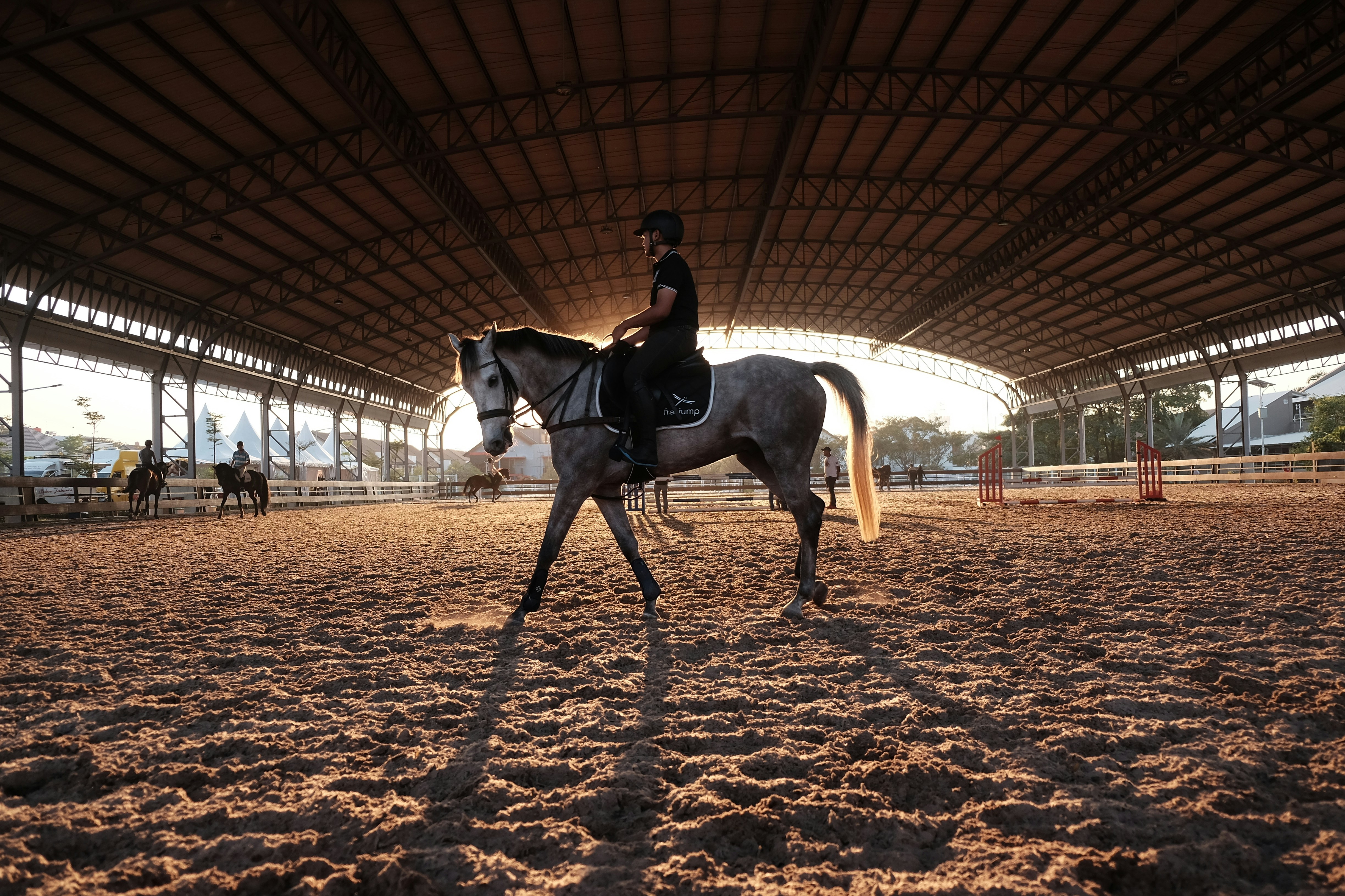 Pony Camp